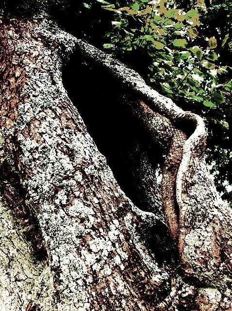 060926-1-web
