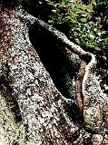 060926-1-web