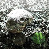 060926-2-web