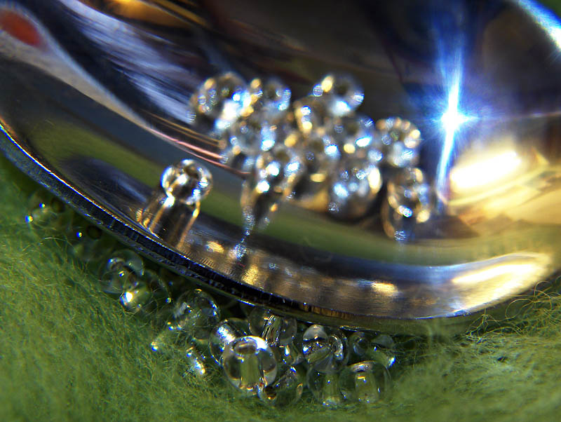 HPIM4283-b I used a plastic uncoated magnifying lens as close-up lens and
improvised lighting with normal room lights, a white LED flashlight and some reflecting material.