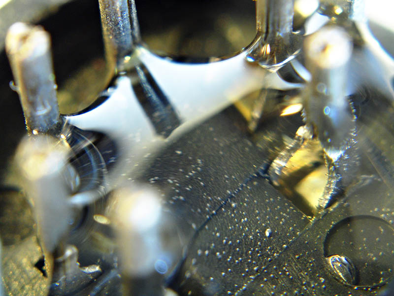 HPIM4559-b Using a close-up lens extracted from old binoculars' eyepiece.